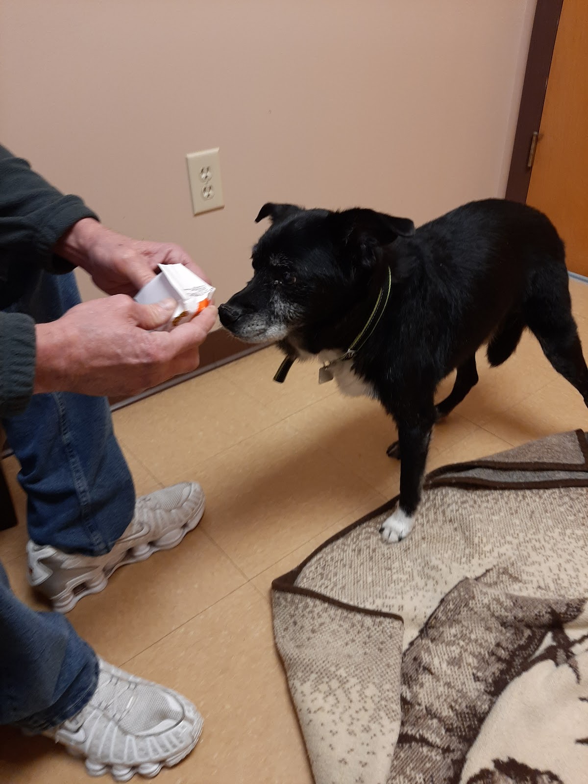 All God's Creatures Veterinary Hospital photo 2