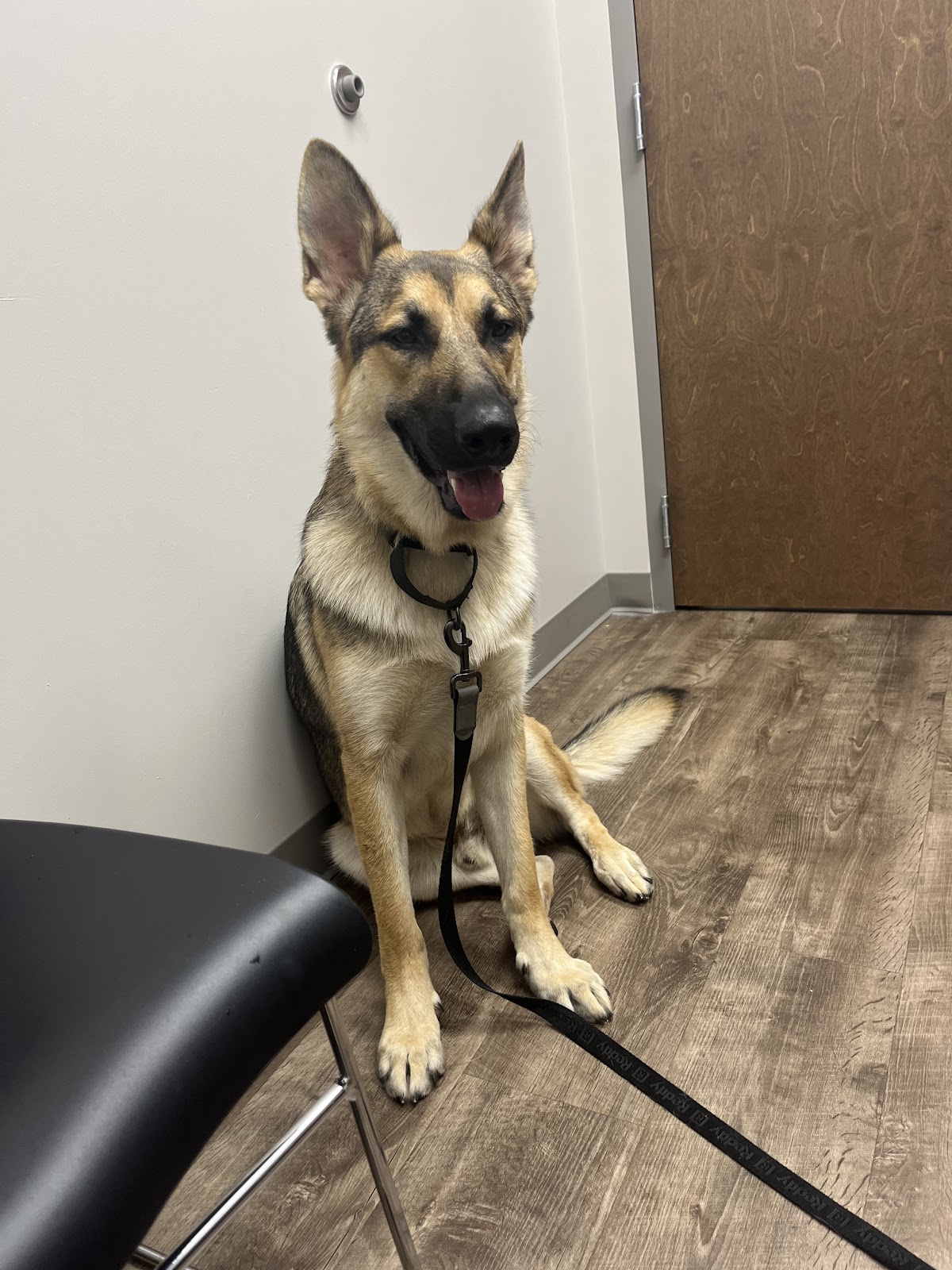 All God's Creatures Veterinary Hospital photo 4