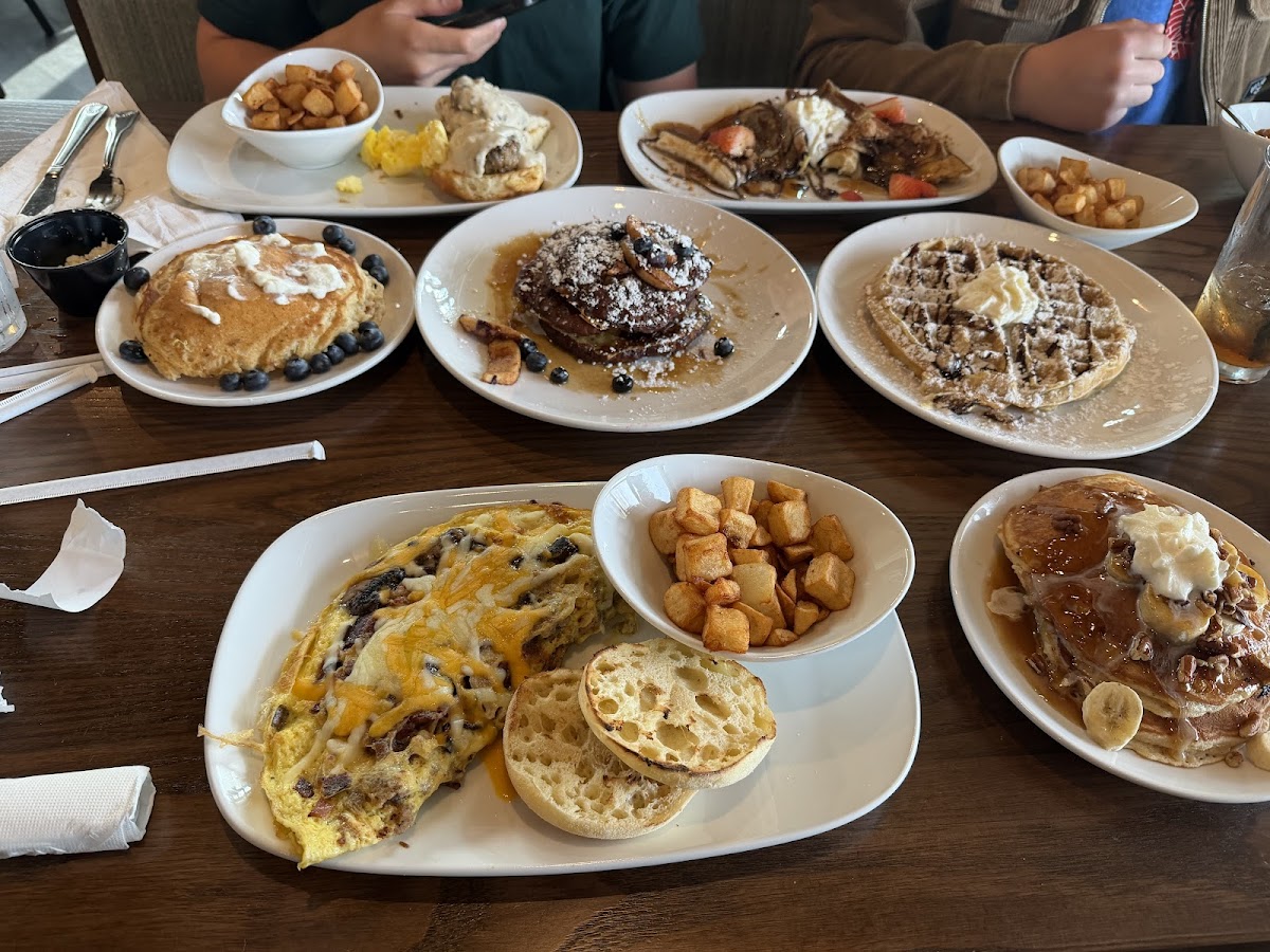 Another Broken Egg Cafe photo 3