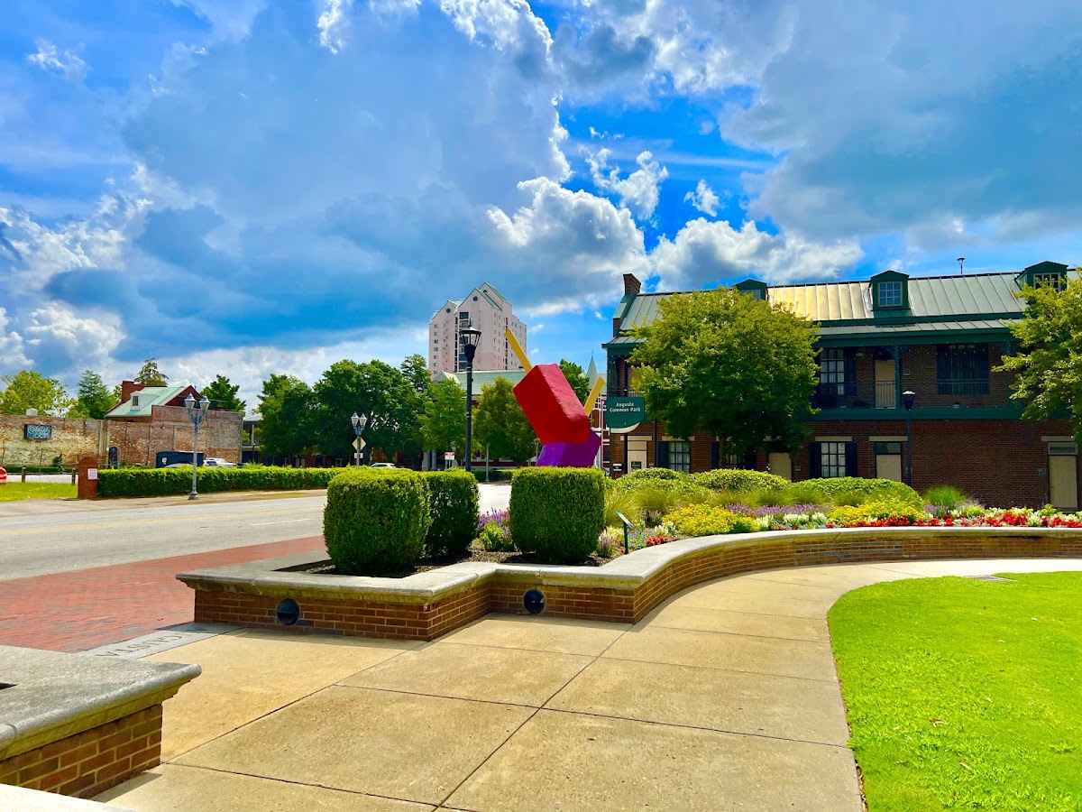 Augusta Common photo 4