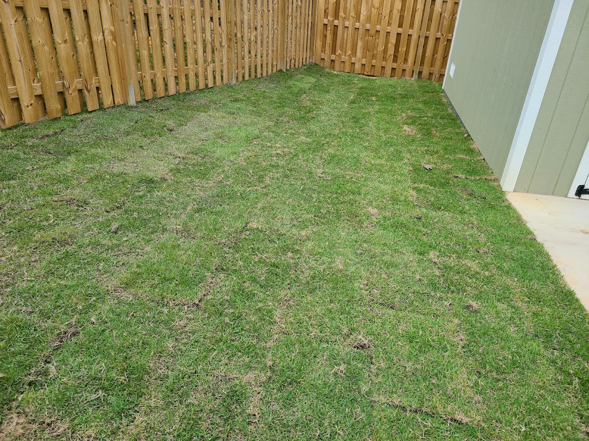 Augusta Landscaping photo 2