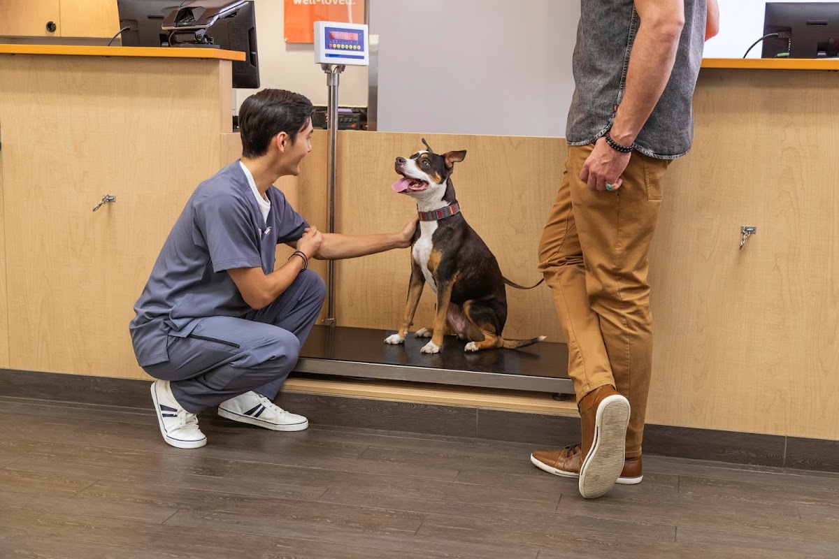 Banfield Pet Hospital photo 4