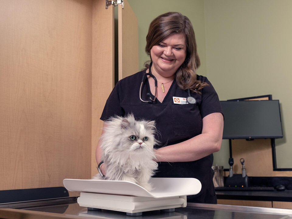 Banfield Pet Hospital photo 5