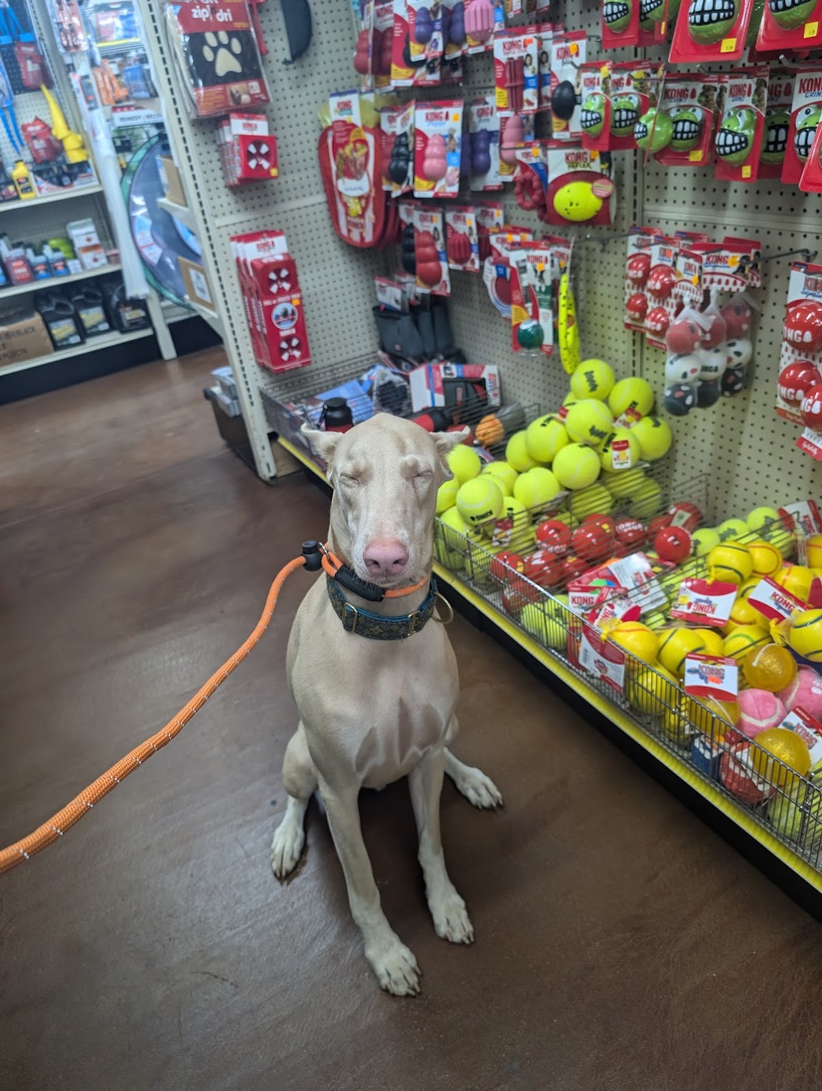 Barkmart photo 2