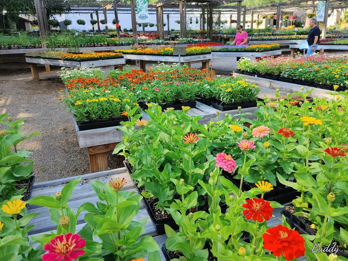 Bedford Greenhouses photo 4