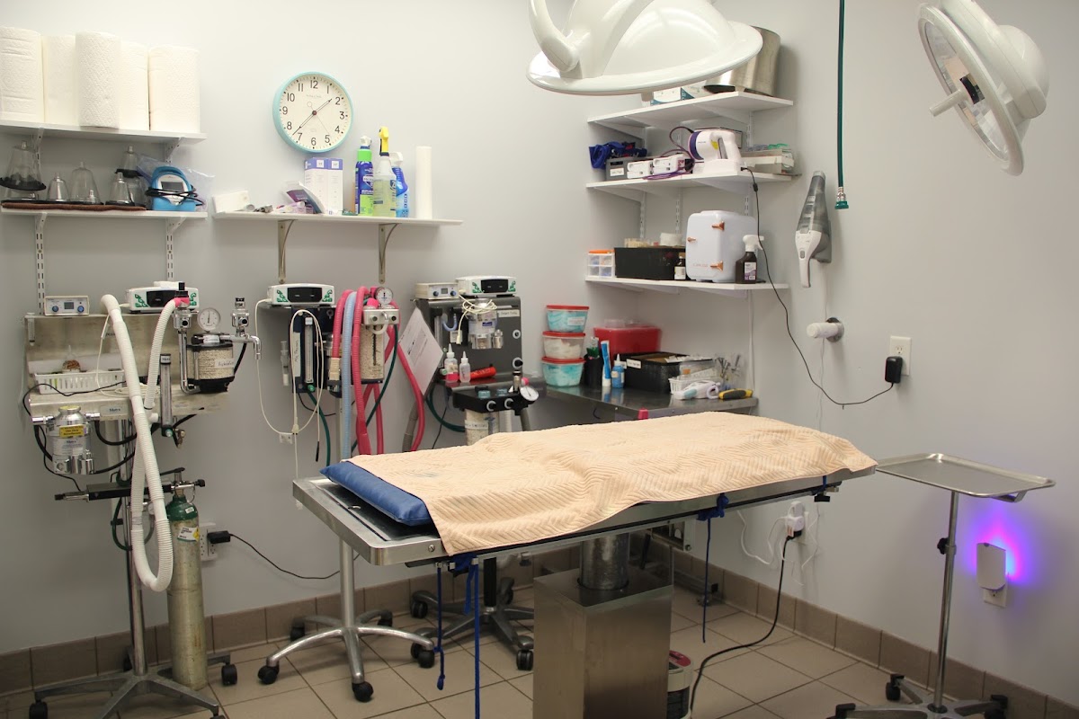 Care More Animal Hospital in West Augusta, Augusta, GA