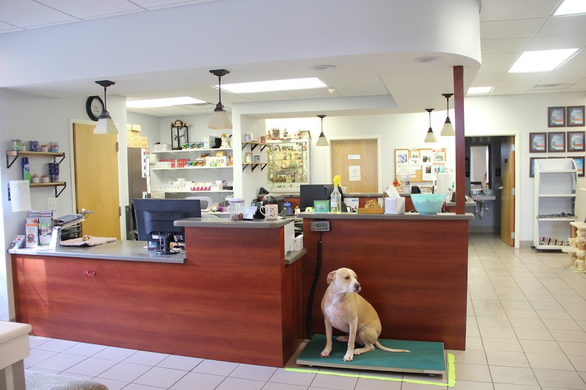 Care More Animal Hospital photo 2
