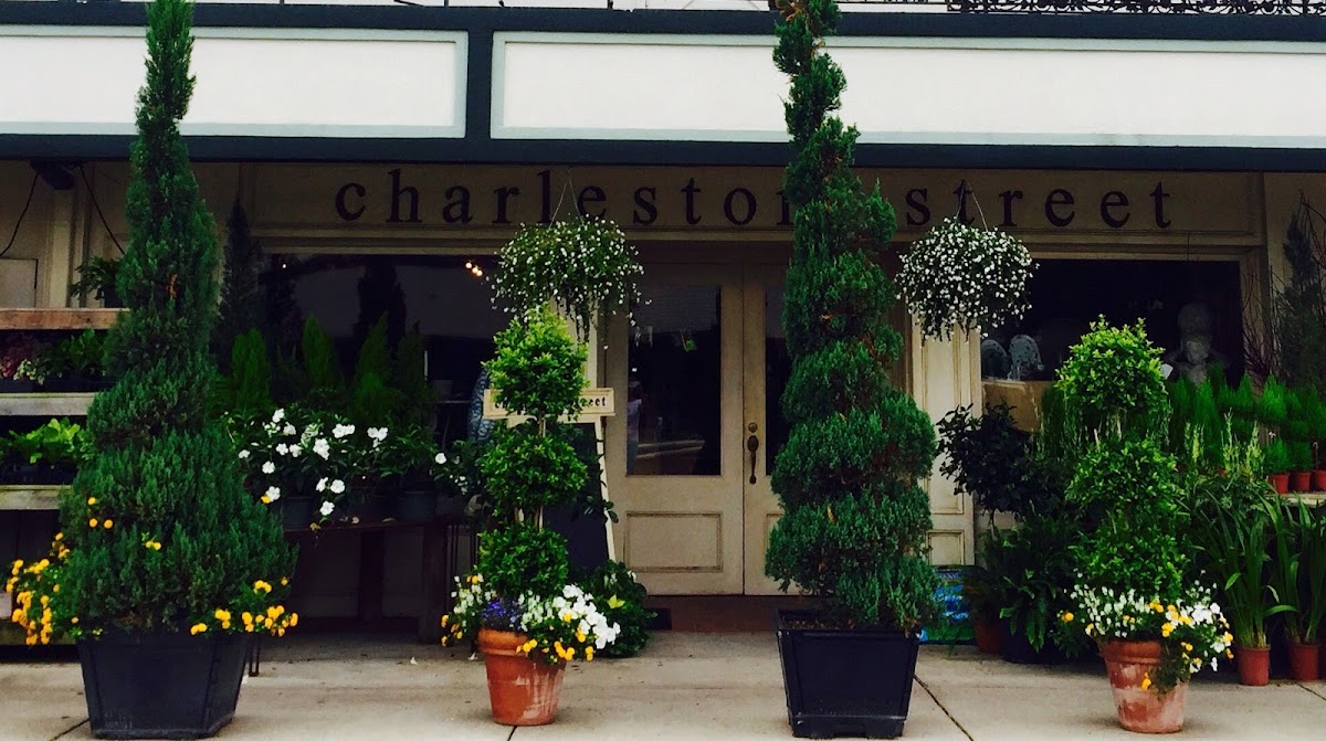 Charleston Street - Retail & Shopping in Augusta, GA