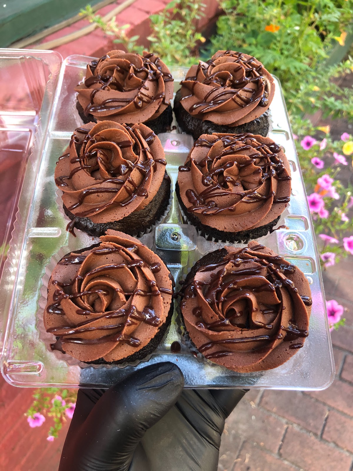 Cotton Bug Bakery photo 3
