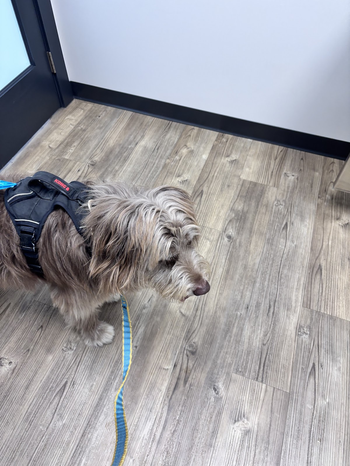 Euchee Creek Veterinary Clinic photo 2
