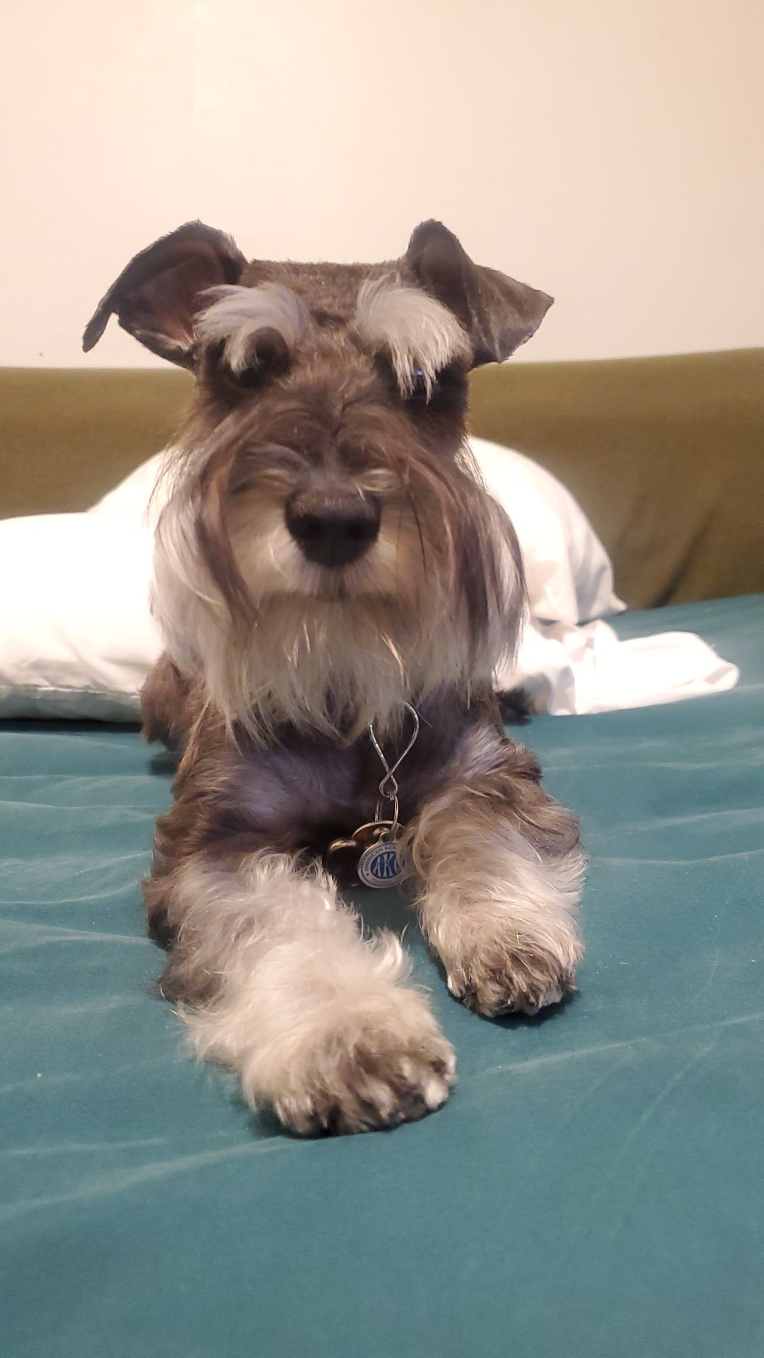 Fetch 501 photo 2