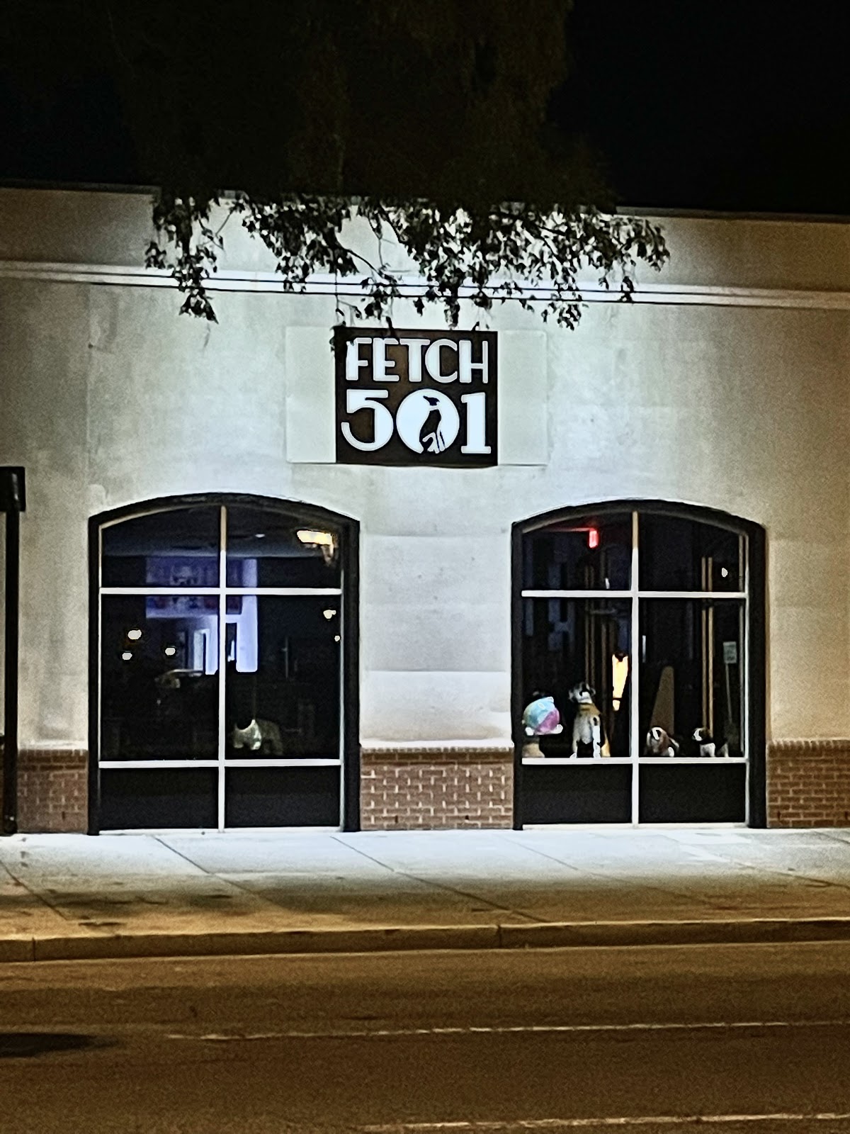 Fetch 501 photo 5
