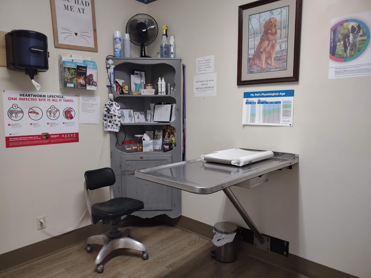 Hammond Hills Animal Hospital photo 2