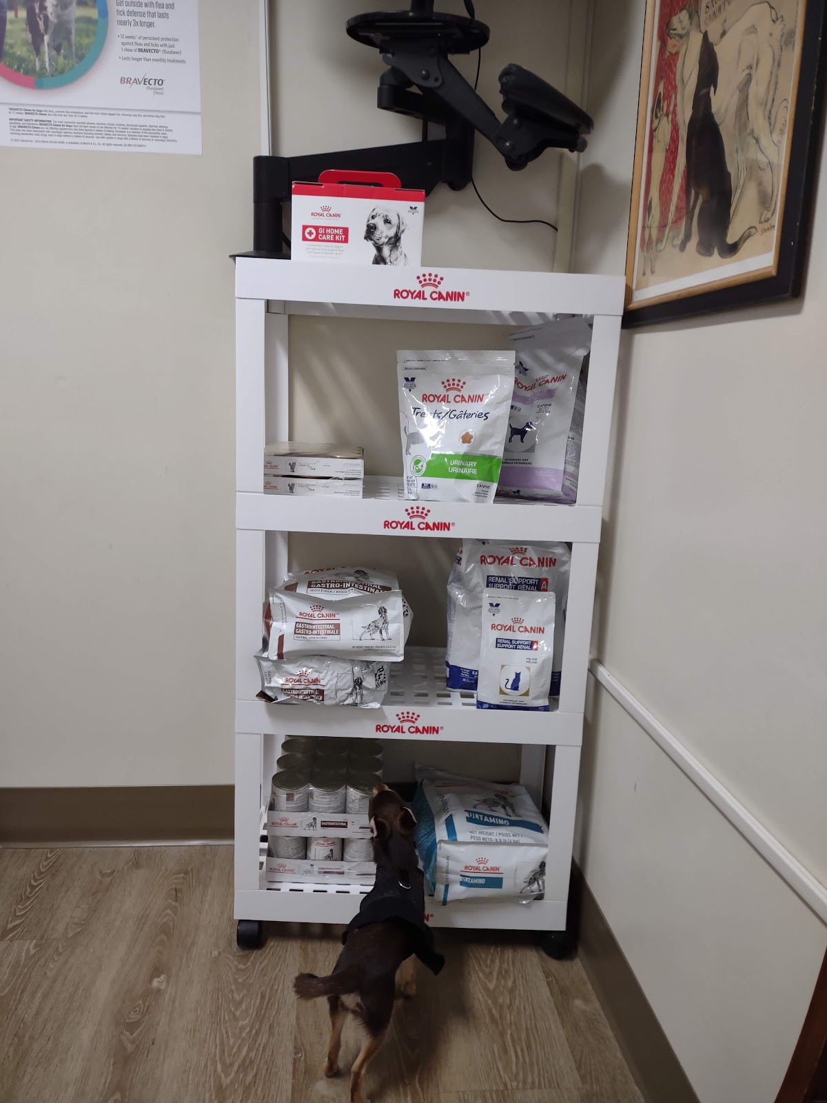 Hammond Hills Animal Hospital photo 4