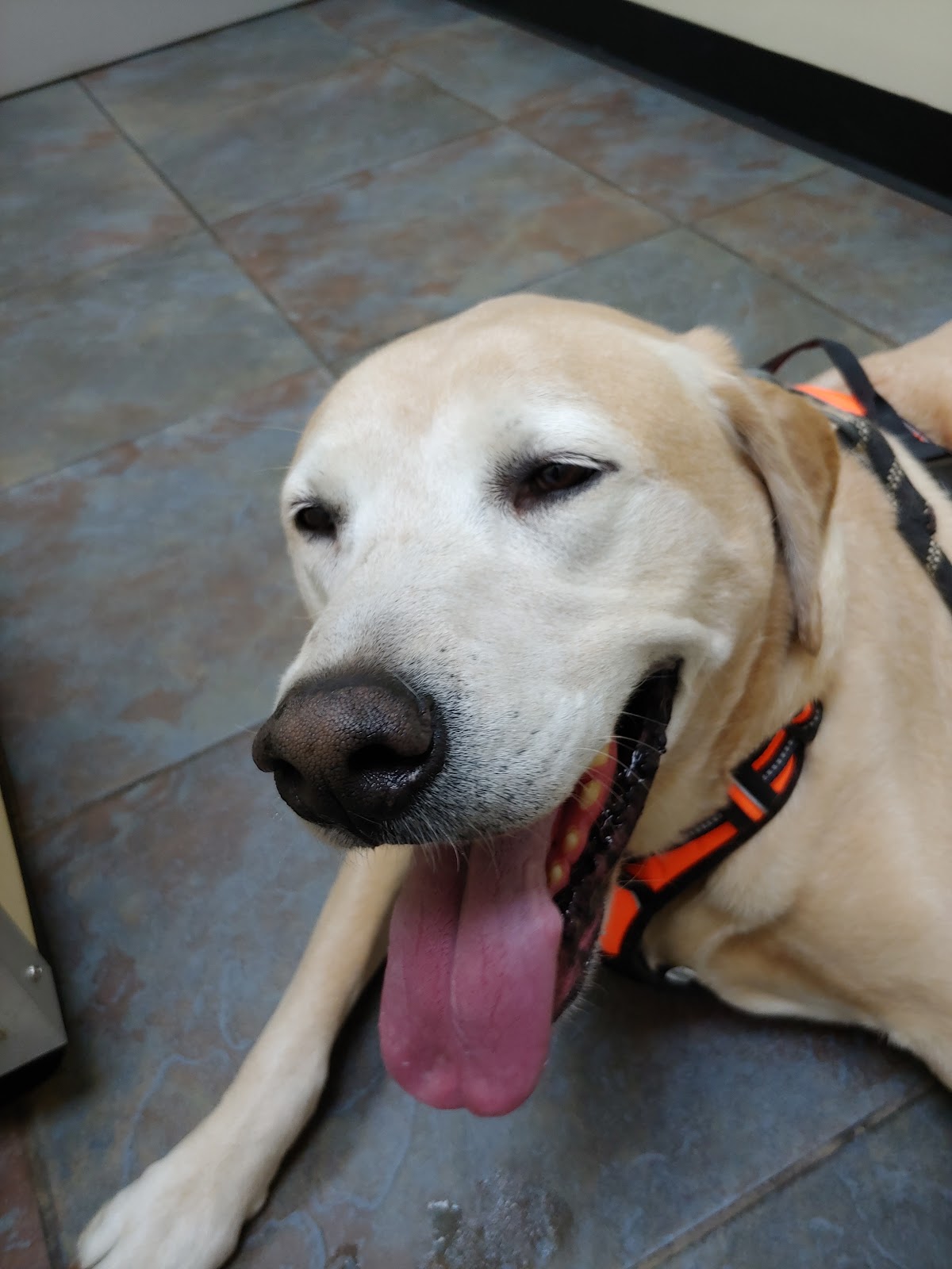Highland Animal Hospital photo 2