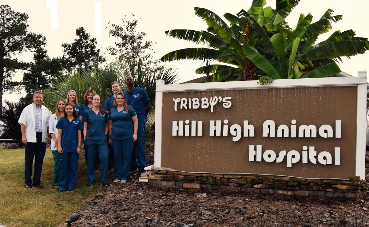 Hill High Animal Hospital in West Augusta, Augusta, GA