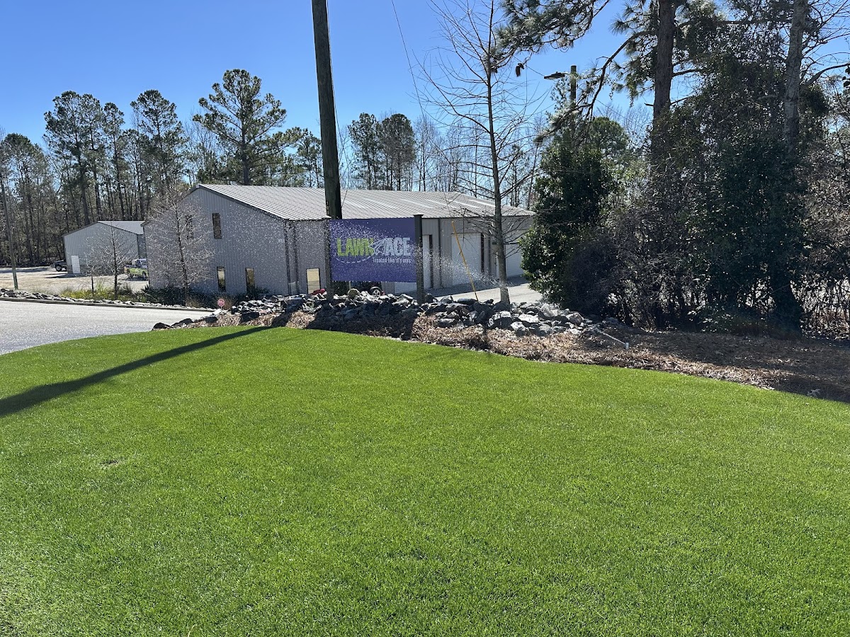 Lawn Ace photo 2