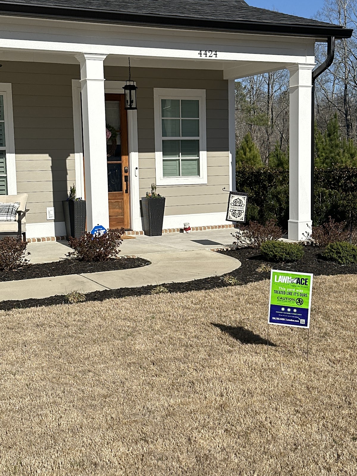 Lawn Ace photo 4