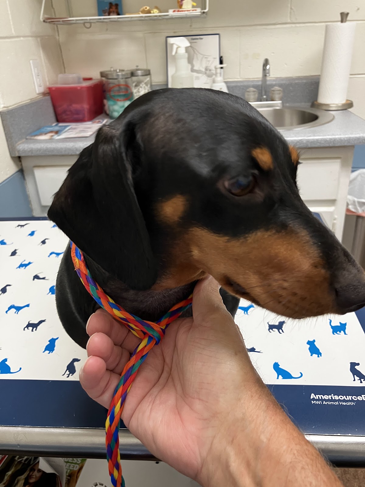 Martinez Animal Hospital photo 4