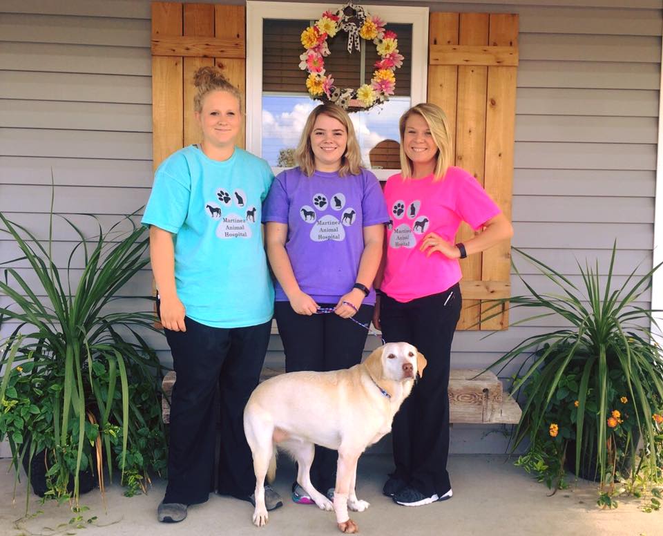 Martinez Animal Hospital photo 5