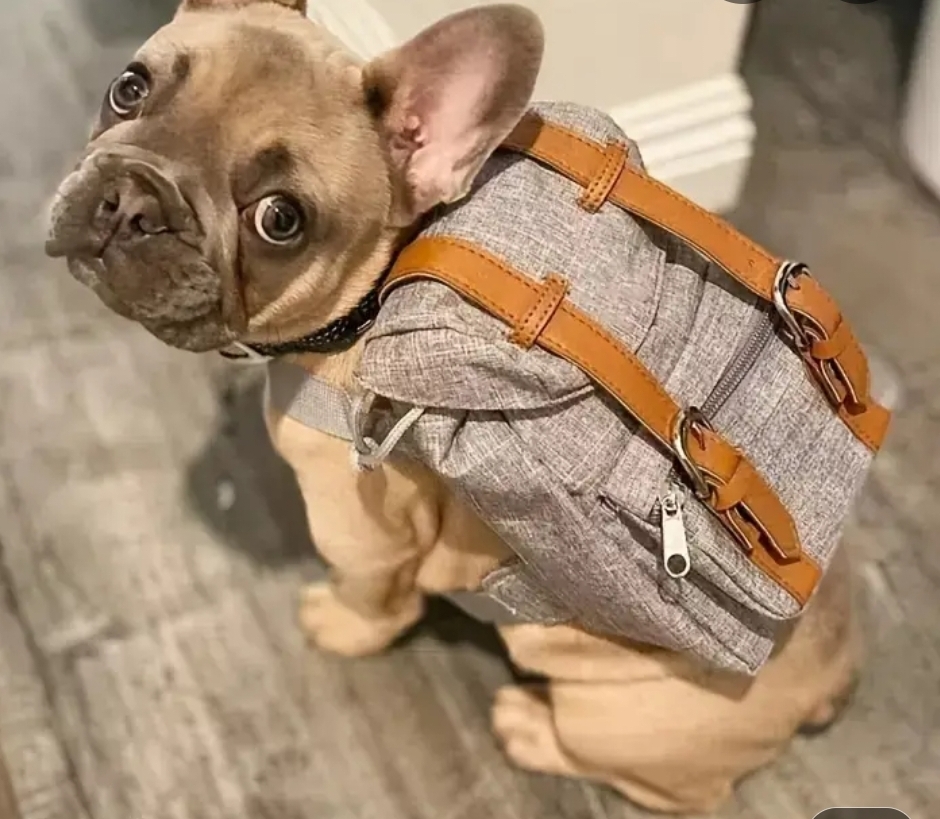 Nieci's Green Bites Pet Boutique & Spa photo 5