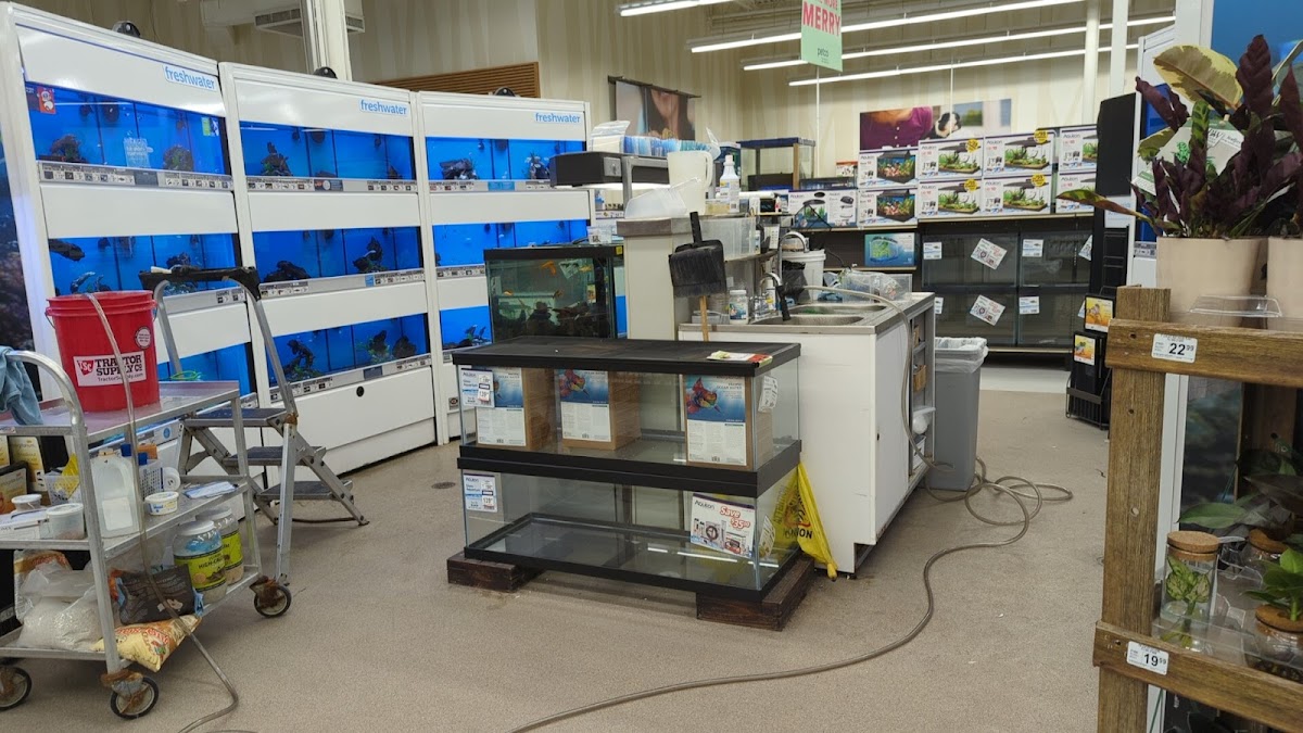 Petco photo 4