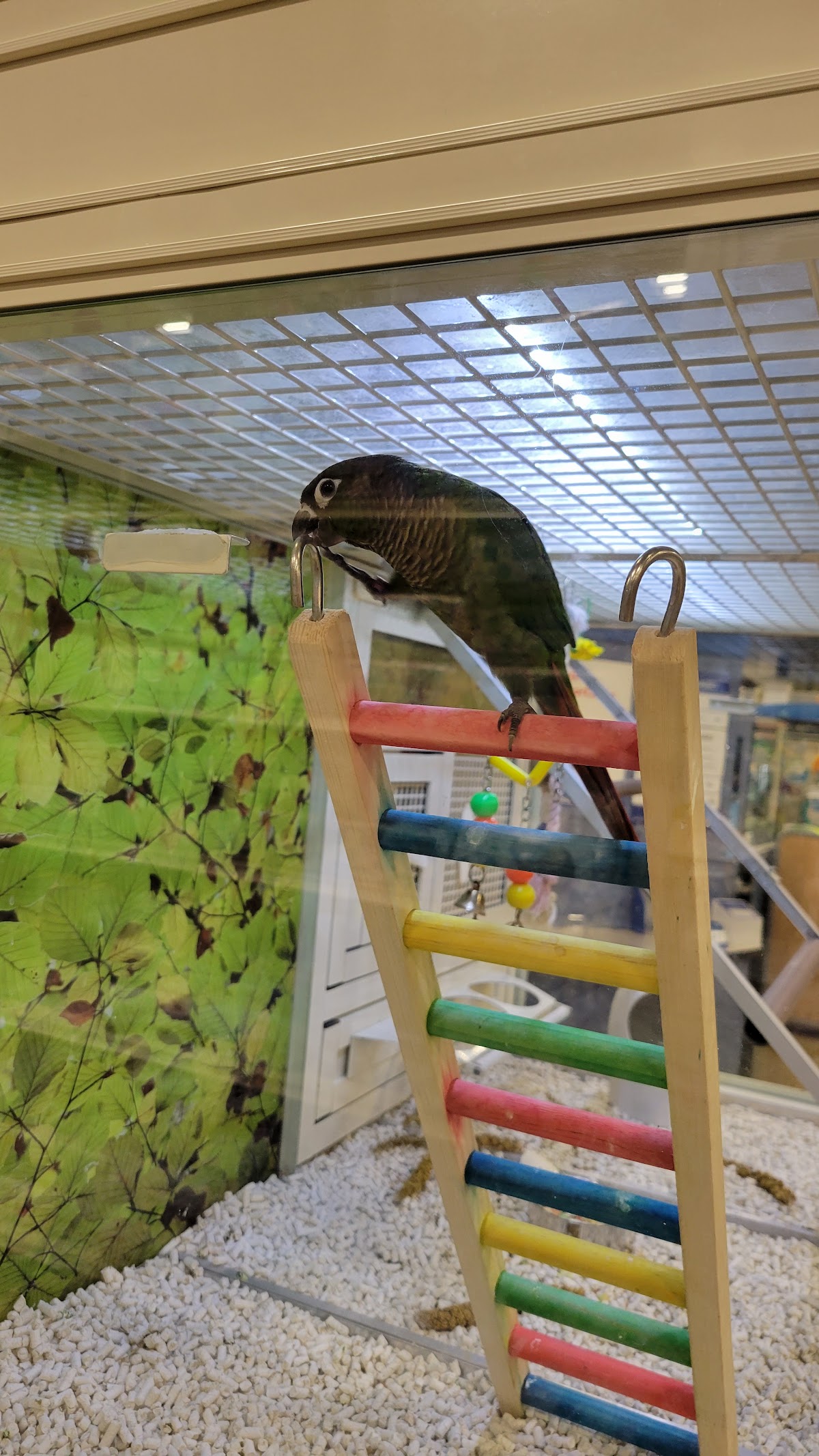 PetSmart photo 4