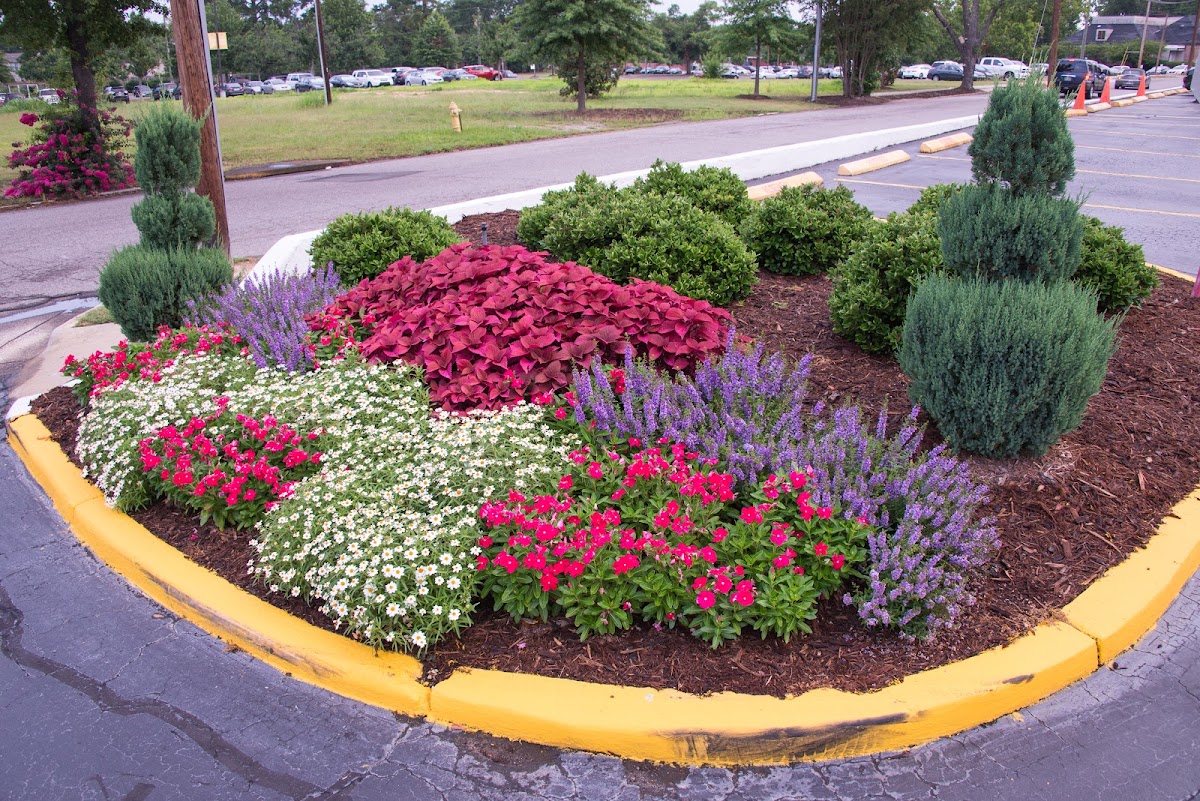 Piedmont Landscape Management photo 5