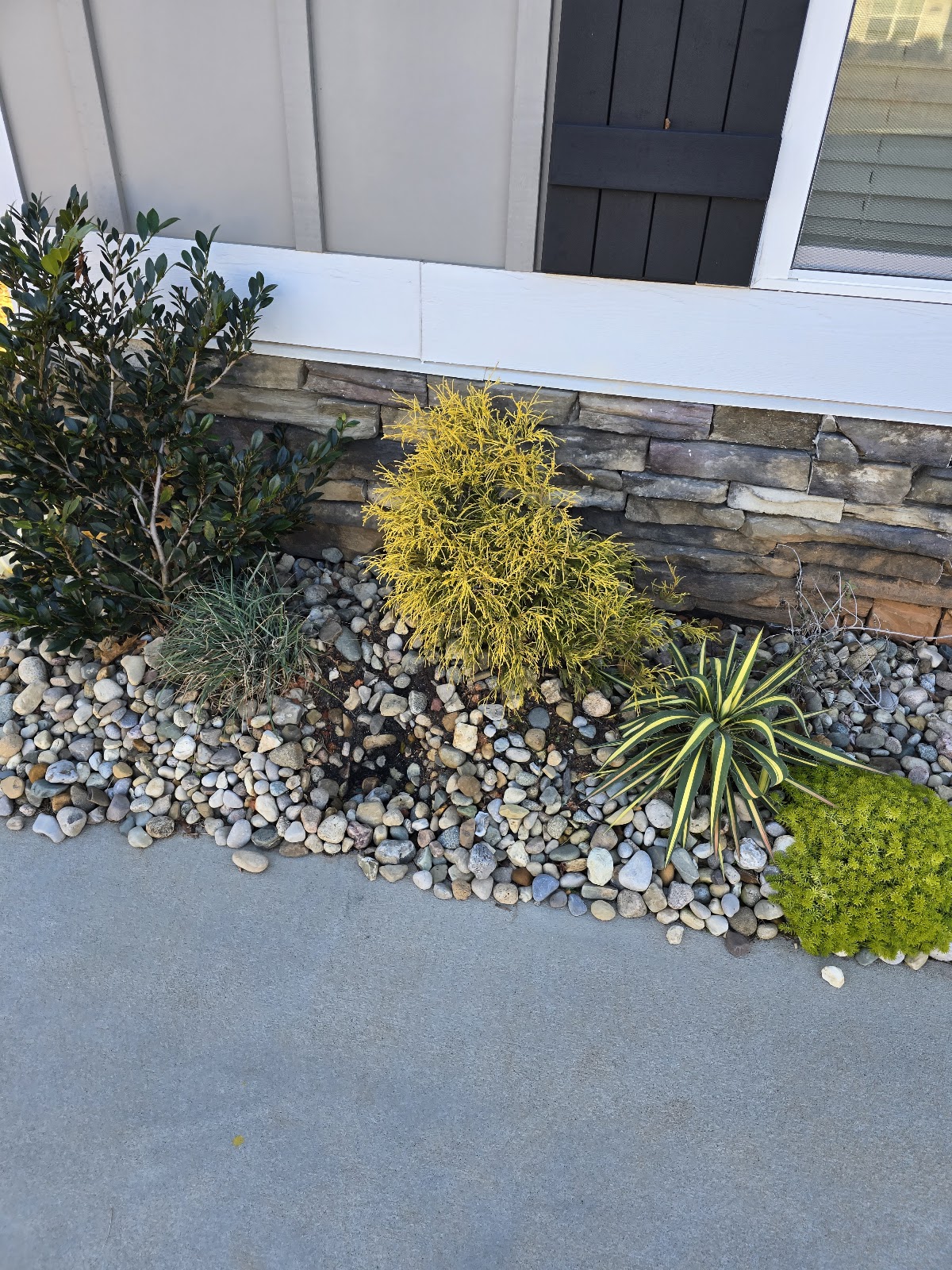 Rollin's Landscape Co., Inc. in West Augusta, Augusta, GA