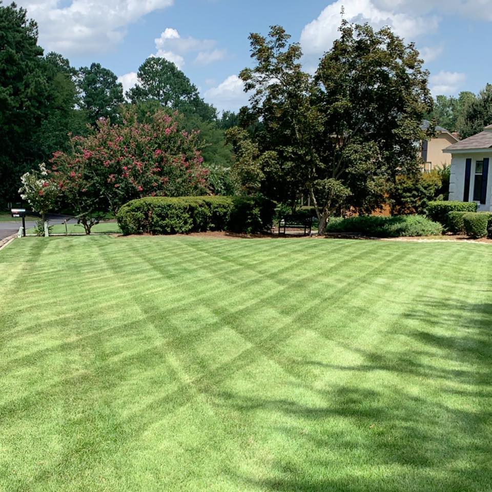 scapegoat landscaping LLC in South Augusta, Augusta, GA