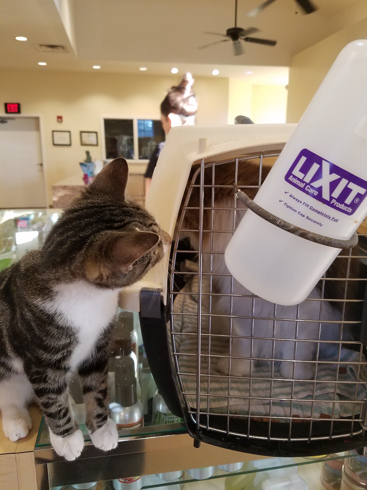St Francis Animal Hospital photo 5