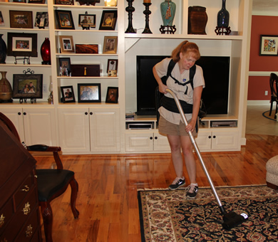The Housekeepers photo 4