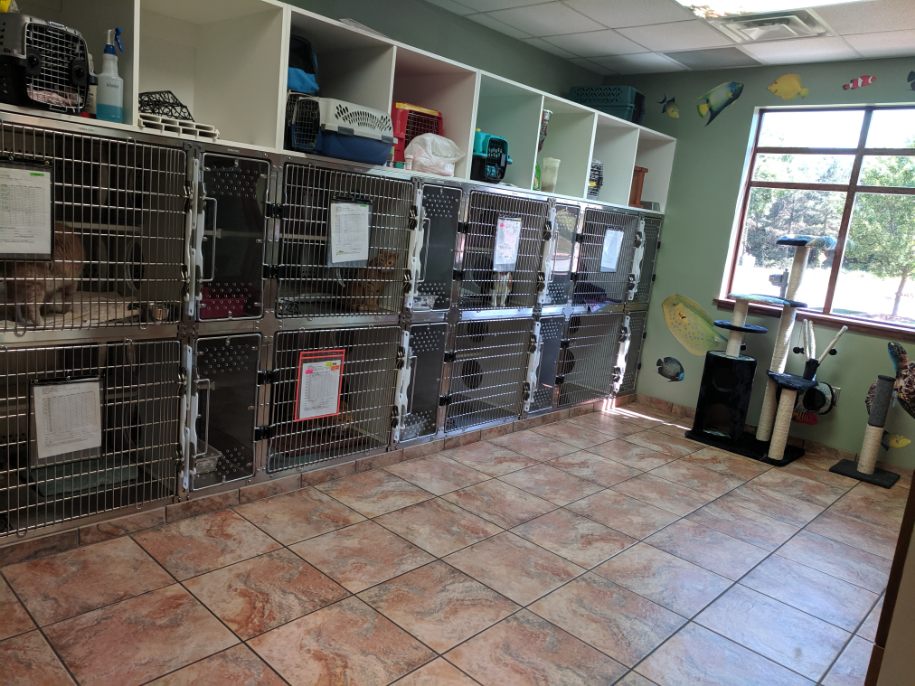 Veterinary Healthcare Associates - Veterinary & Pets in Augusta, GA