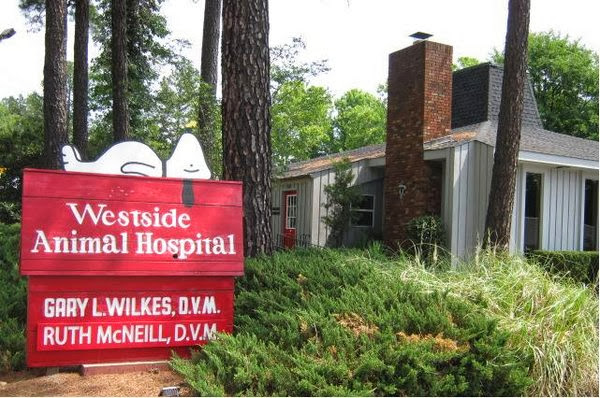 Westside Animal Hospital photo 2