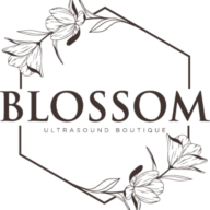 Blossom Ultrasound Boutique logo
